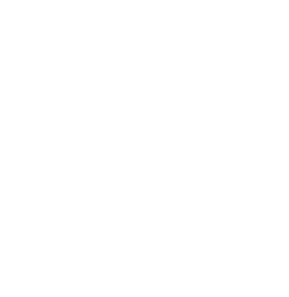 detroit action logo@2x